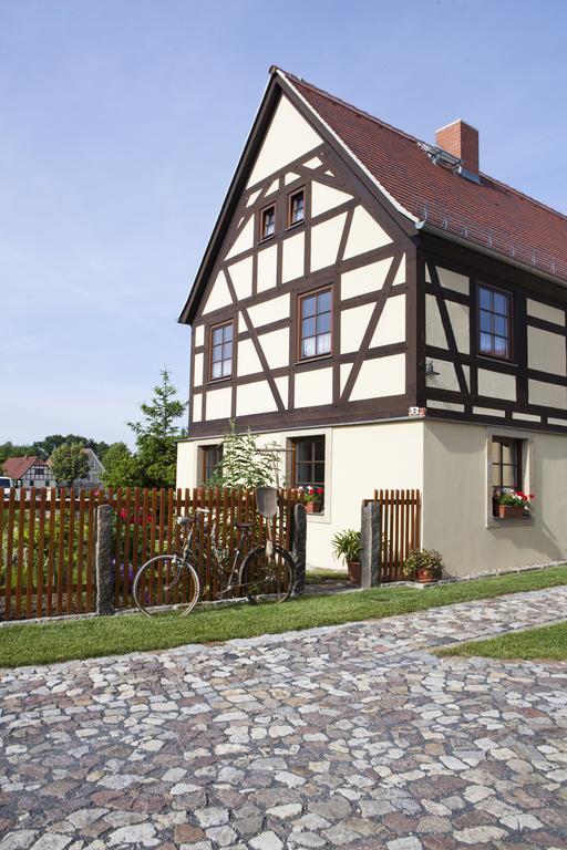 Pension Alte Schmiede Zabeltitz Esterno foto